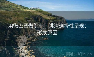 用微密圈做例子，讲清选择性呈现：形成原因