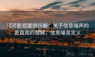 可可影视案例拆解：关于信息噪声的更直观的理解，信息噪音定义