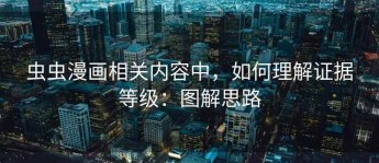 虫虫漫画相关内容中，如何理解证据等级：图解思路
