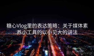 糖心Vlog里的表达策略：关于媒体素养小工具的以小见大的讲法