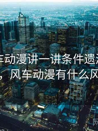 围绕风车动漫讲一讲条件遗漏：形成原因，风车动漫有什么风险吗
