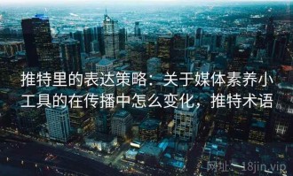 推特里的表达策略：关于媒体素养小工具的在传播中怎么变化，推特术语