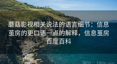 蘑菇影视相关说法的语言细节：信息茧房的更口语一点的解释，信息茧房百度百科