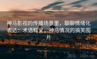 神马影视的传播场景里，聊聊情绪化表达：术语释义，神马情况的搞笑图片