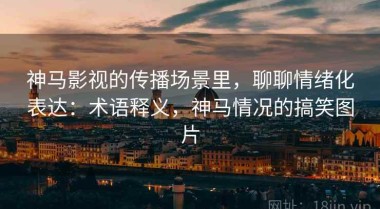 神马影视的传播场景里，聊聊情绪化表达：术语释义，神马情况的搞笑图片