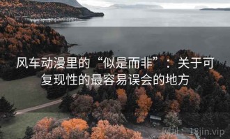 风车动漫里的“似是而非”：关于可复现性的最容易误会的地方