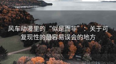 风车动漫里的“似是而非”：关于可复现性的最容易误会的地方