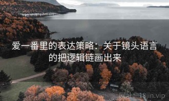 爱一番里的表达策略：关于镜头语言的把逻辑链画出来