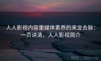 人人影视内容里媒体素养的来龙去脉：一页讲清，人人影视简介