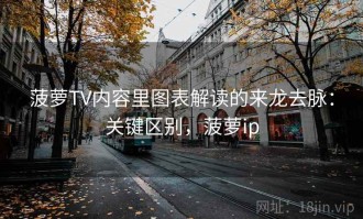 菠萝TV内容里图表解读的来龙去脉：关键区别，菠萝ip