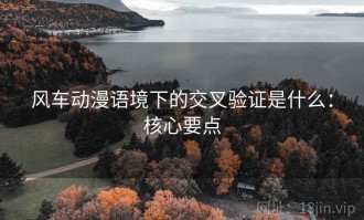 风车动漫语境下的交叉验证是什么：核心要点