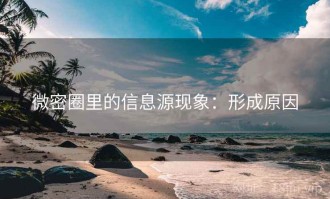 微密圈里的信息源现象：形成原因