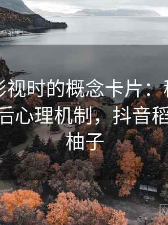 读柚子影视时的概念卡片：稻草人论证——背后心理机制，抖音稻草人乐队柚子