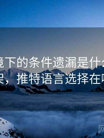 推特语境下的条件遗漏是什么：判断框架，推特语言选择在哪里