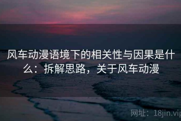 风车动漫语境下的相关性与因果是什么：拆解思路，关于风车动漫