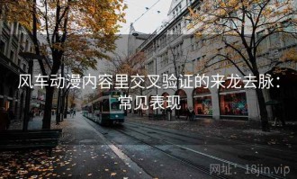 风车动漫内容里交叉验证的来龙去脉：常见表现