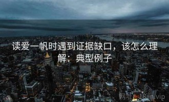 读爱一帆时遇到证据缺口，该怎么理解：典型例子