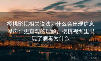樱桃影视相关说法为什么会出现信息噪声：更直观的理解，樱桃视频里出现了病毒为什么