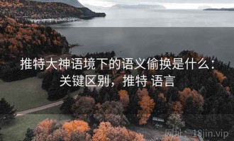 推特大神语境下的语义偷换是什么：关键区别，推特 语言