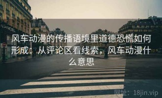 风车动漫的传播语境里道德恐慌如何形成：从评论区看线索，风车动漫什么意思