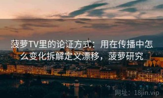 菠萝TV里的论证方式：用在传播中怎么变化拆解定义漂移，菠萝研究