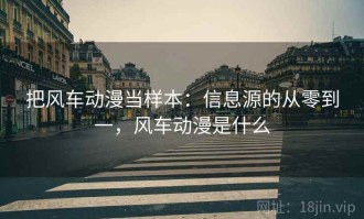把风车动漫当样本：信息源的从零到一，风车动漫是什么
