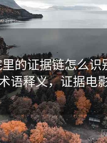 星辰影院里的证据链怎么识别与理解：术语释义，证据电影