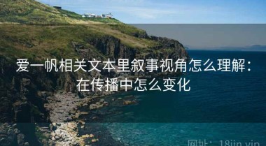 爱一帆相关文本里叙事视角怎么理解：在传播中怎么变化