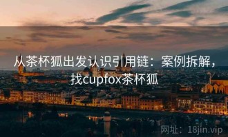 从茶杯狐出发认识引用链：案例拆解，找cupfox茶杯狐