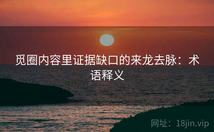 觅圈内容里证据缺口的来龙去脉：术语释义