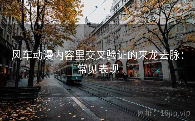 风车动漫内容里交叉验证的来龙去脉:常见表现 风车动漫内容里交叉验证的来龙去脉:常见表现