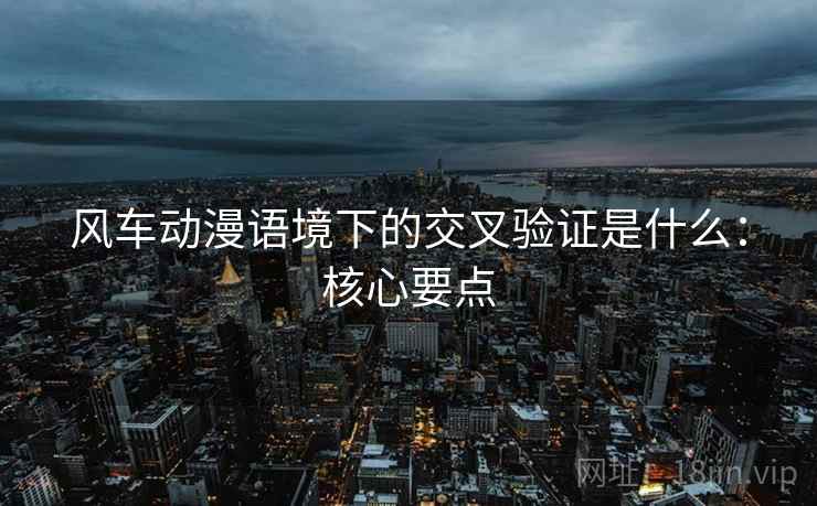 风车动漫语境下的交叉验证是什么：核心要点