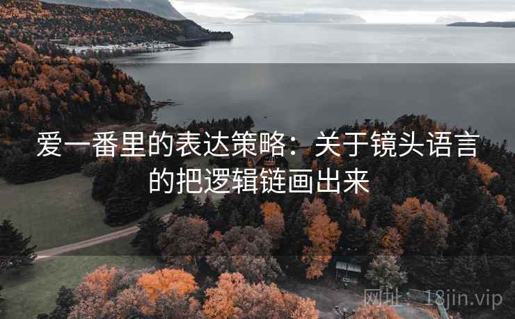 爱一番里的表达策略：关于镜头语言的把逻辑链画出来