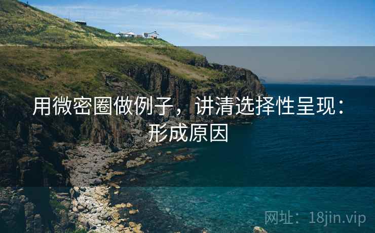 用微密圈做例子,讲清选择性呈现:形成原因 用微密圈做例子,讲清选择性呈现:形成原因