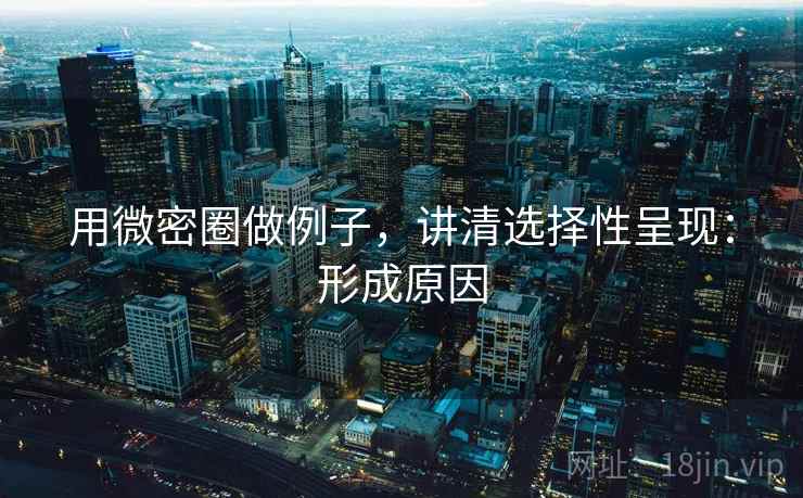 用微密圈做例子,讲清选择性呈现:形成原因 用微密圈做例子,讲清选择性呈现:形成原因